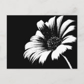 Carte Postale Daisy (Devant)