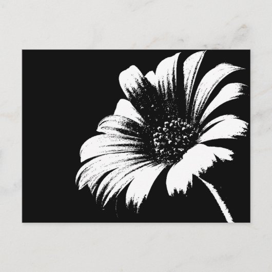 Carte Postale Daisy (Devant)