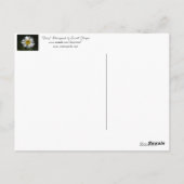 Carte Postale Daisy (Dos)