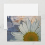 Carte postale Daisy (Devant / Derrière)