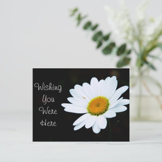 Carte postale Daisy - Customisez-le (Debout devant)