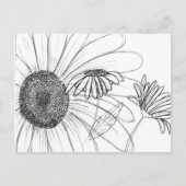 Carte Postale Daisy, Daisy (Devant)