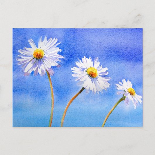Carte Postale Daisy Daisy (Devant)
