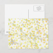 Carte Postale Daisy Daisy (Devant / Derrière)