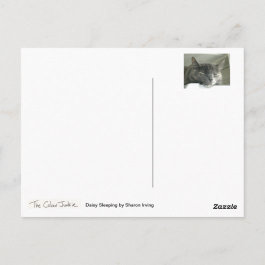 Carte Postale Daisy Dormir (Dos)