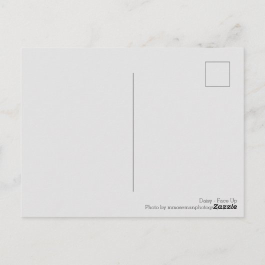 Carte Postale Daisy - Face vers le haut (Dos)