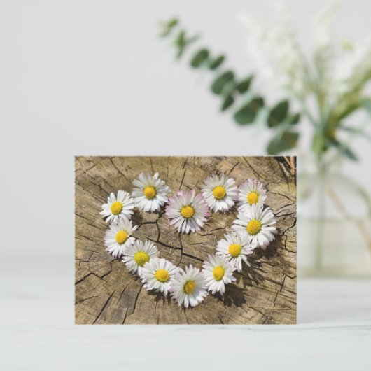 Carte Postale Daisy Heart (Debout devant)