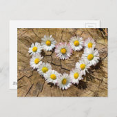 Carte Postale Daisy Heart (Devant / Derrière)