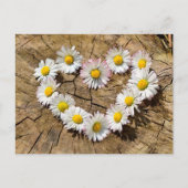Carte Postale Daisy Heart (Devant)