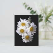 Carte Postale Daisy IV (Debout devant)