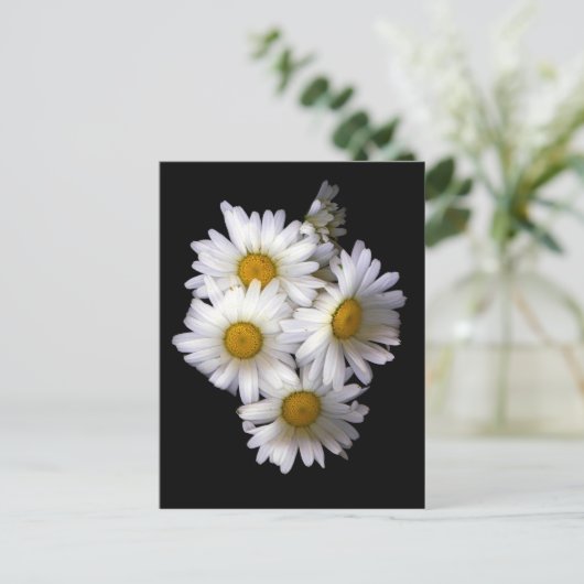 Carte Postale Daisy IV (Debout devant)