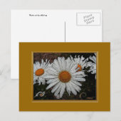 Carte Postale Daisy Le Fait (Devant / Derrière)
