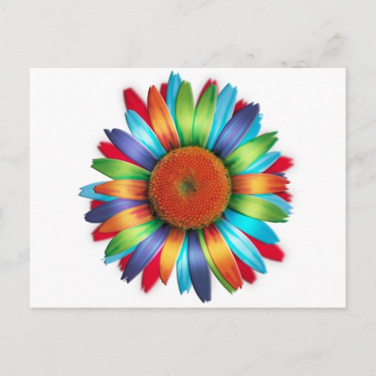 Carte Postale Daisy multicolore (Devant)