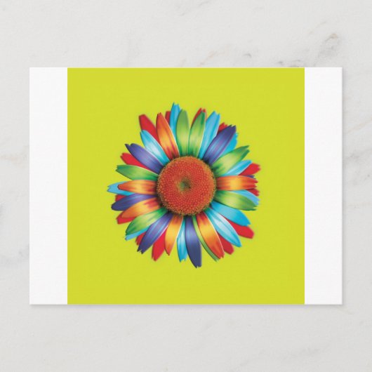 Carte Postale Daisy multicolore (Devant)