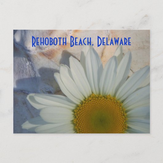 Carte postale Daisy Rehoboth Beach (Devant)