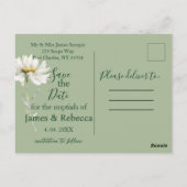 Carte Postale Daisy Sage & Botanical Wedding Save the Date (Dos)