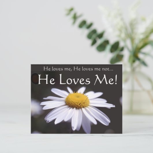 Carte Postale Daisy sur l'Arrière - plan noir (Debout devant)