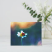 Carte Postale Daisybug (Debout devant)