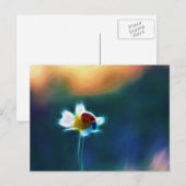 Carte Postale Daisybug (Devant / Derrière)