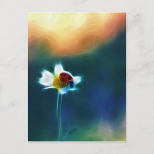 Carte Postale Daisybug