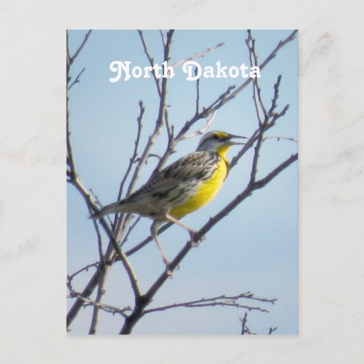 Carte Postale Dakota du Nord (Devant)