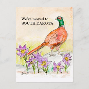 Carte Postale Dakota du Sud