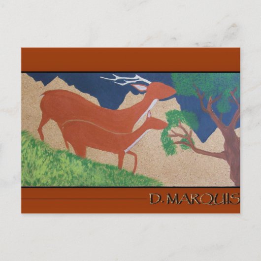 CARTE POSTALE D'ALIMENTATION DE CERFS (Devant)