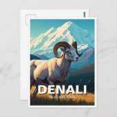 Carte Postale Dall Sheep in Denali National Park Alaska (Devant / Derrière)