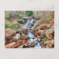 Dallas Arboretum et Jardin botanique