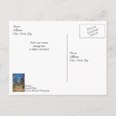 Carte postale Dallas Christmas Arches (Dos)