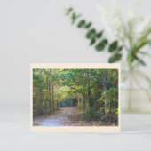 Carte postale d'allée de parc (Debout devant)