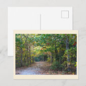 Carte postale d'allée de parc (Devant / Derrière)