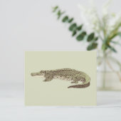 Carte postale d'alligator (Debout devant)