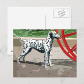 Carte postale dalmate vintage peinte (Devant / Derrière)