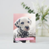 Carte Postale Dalmatian Heart Nose (Debout devant)