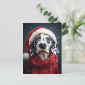 Carte Postale Dalmatie festive à Père Noël Attire (Debout devant)