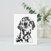 Carte Postale Dalmatien  (Debout devant)