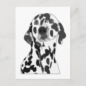 Carte Postale Dalmatien  (Devant)