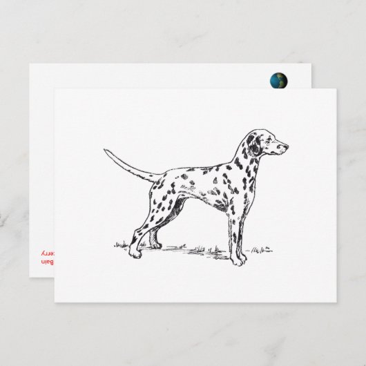 Carte Postale Dalmatien (Devant / Derrière)