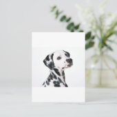 Carte Postale Dalmatien (Debout devant)