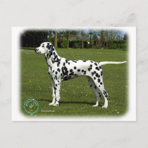 Carte Postale Dalmatien 9T085D-119