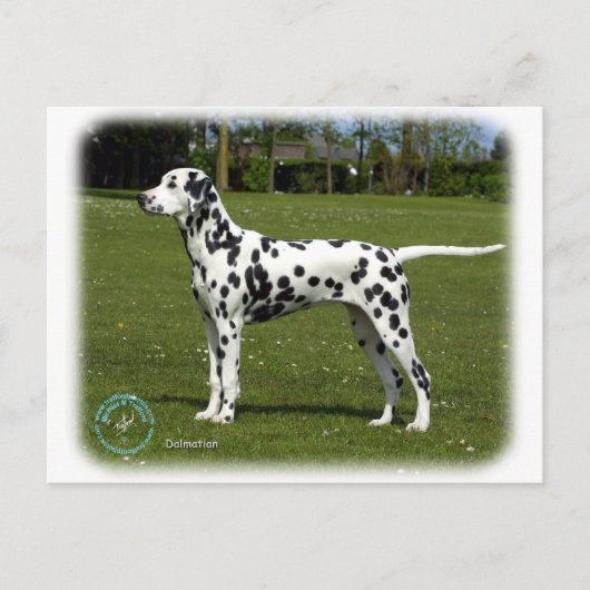 Carte Postale Dalmatien 9T085D-119 (Devant)