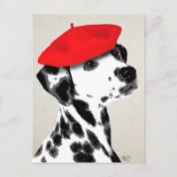 Dalmatien Avec Beret Rouge
