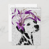 Carte Postale Dalmatien Avec Fascinateur Violet (Devant / Derrière)