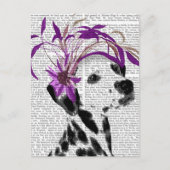 Carte Postale Dalmatien Avec Fascinateur Violet (Devant)