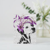 Carte Postale Dalmatien Avec Fascinateur Violet (Debout devant)