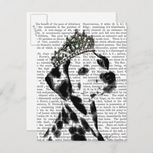 Carte Postale Dalmatien avec Tiara 2 (Devant / Derrière)