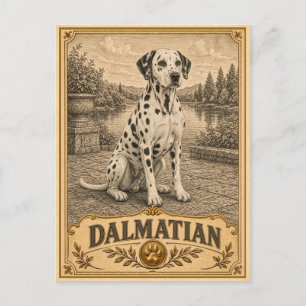Carte Postale Dalmatien, Chien du Patrimoine Ancien