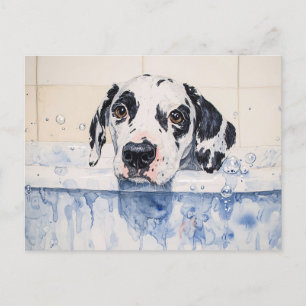 Carte Postale Dalmatien Dog Bain Temps Peinture
