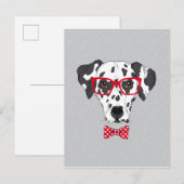Carte Postale Dalmatien fashionable (Devant / Derrière)